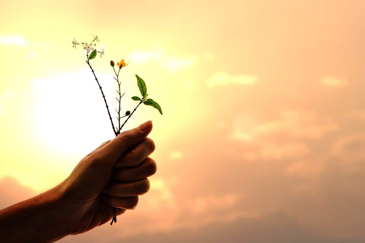 hands holding leaves and flowers