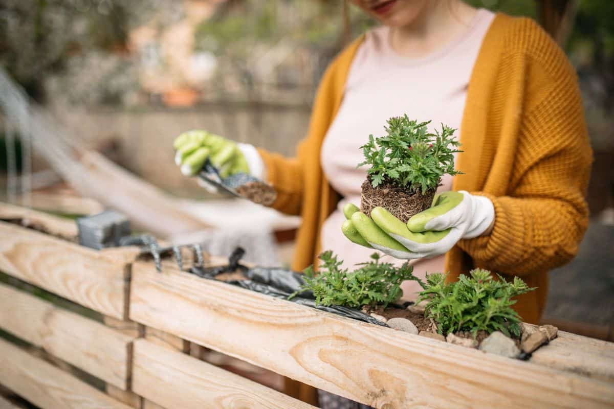 woman gardening as a hobby