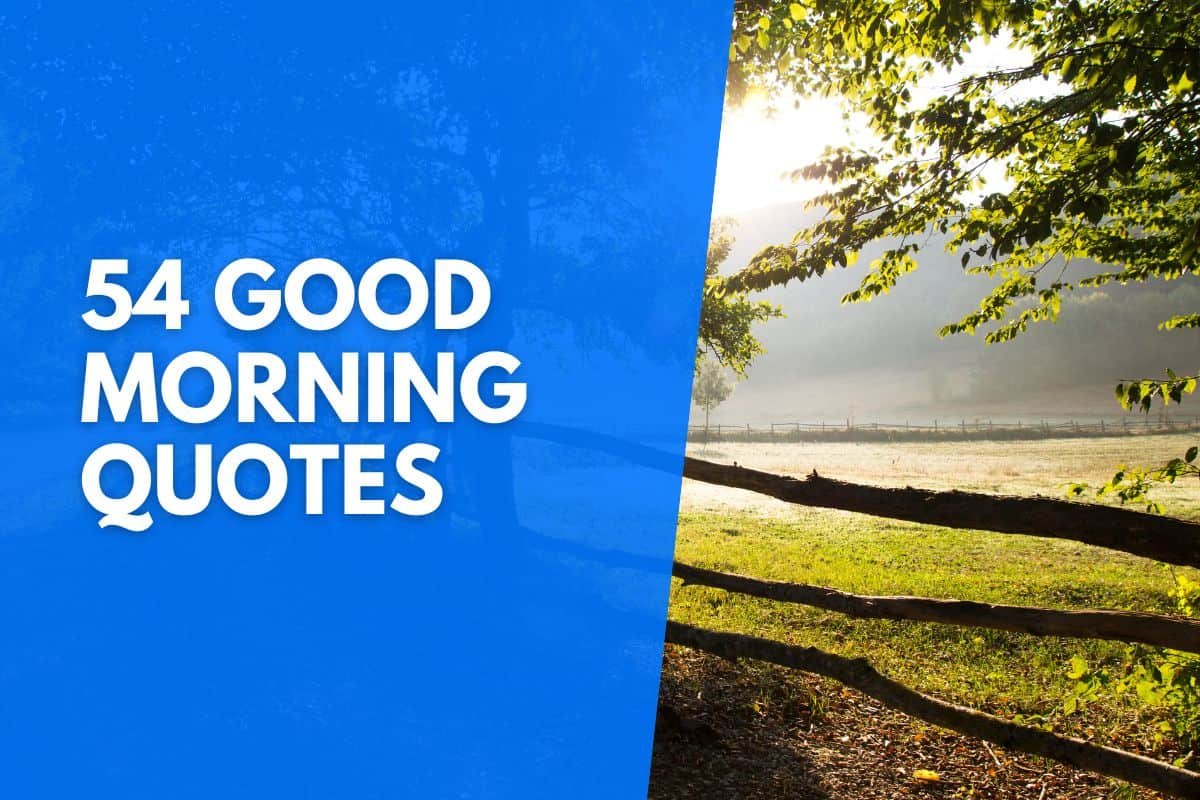 54 Good Morning Quotes